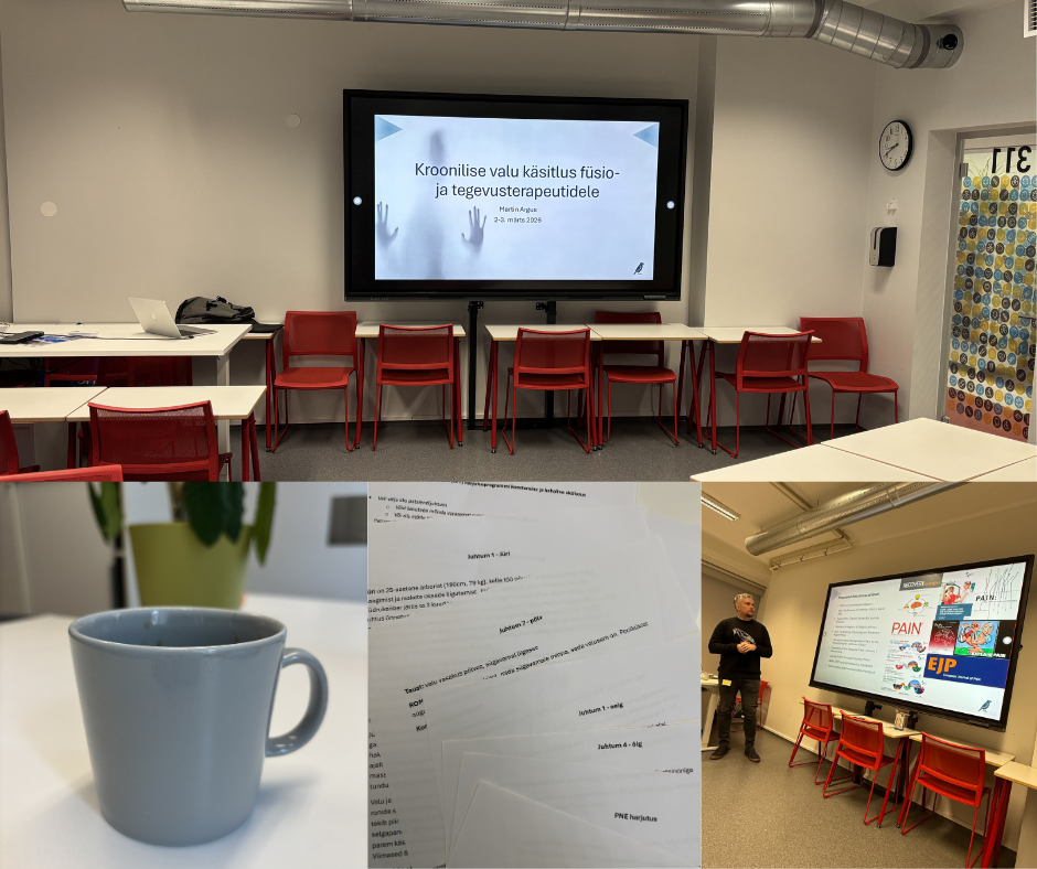 Kroonilise valu käsitlus füsioterapeutidele ja tegevusterapeutidele